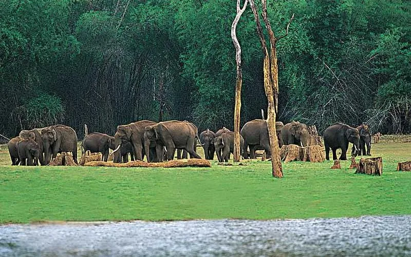 WYPRAWA DO KERALI